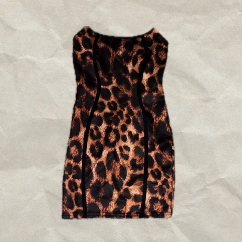 Fashion Nova Leopard Print Mini Dress